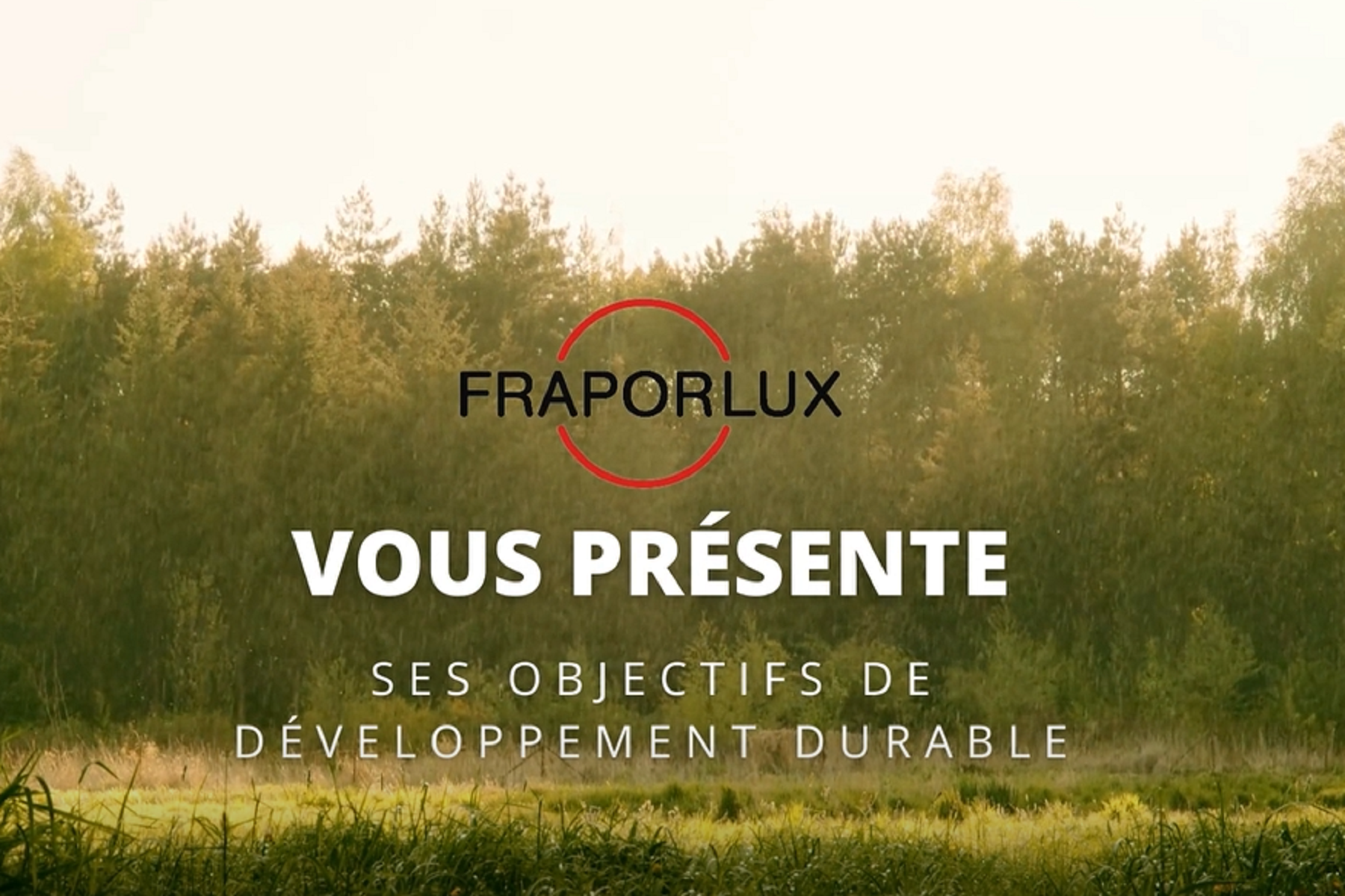 Job alerte - recherche d'emploi